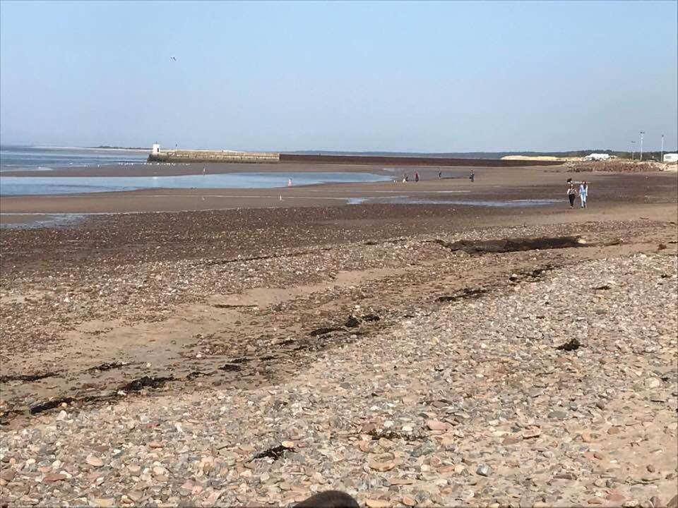 أرديرسير Broomlea المظهر الخارجي الصورة